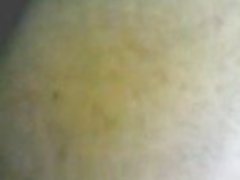Porno stjerner i badstue penis i honning