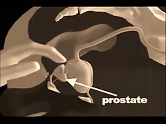 Porno stor rumpe sexy kaker
