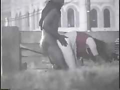 Porno unge barbert fitte svært sexy babe